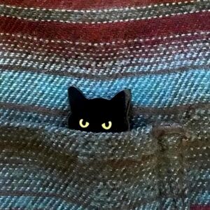 CAT Brooch POCKET PEEK A BOO BROOCH PIN #2